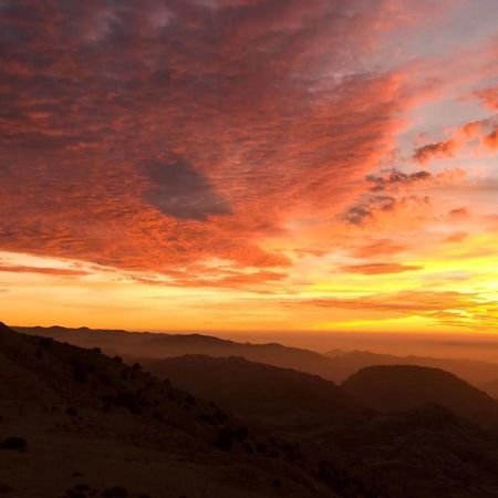 Petra Heart Hotel ワディ・ムーサ エクステリア 写真